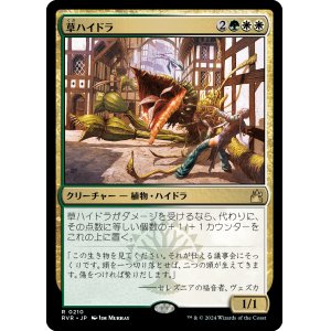 画像: 【Foil】【日本語版】草ハイドラ/Phytohydra