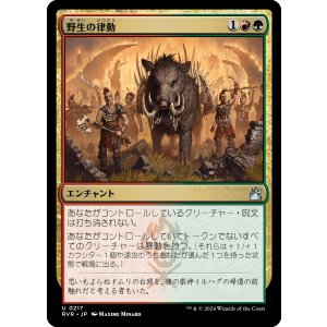 画像: 【日本語版】野生の律動/Rhythm of the Wild