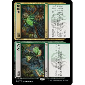 画像: 【Foil】【日本語版】採取 + 最終/Find + Finality