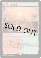 画像: 【日本語版】踏み鳴らされる地/Stomping Ground