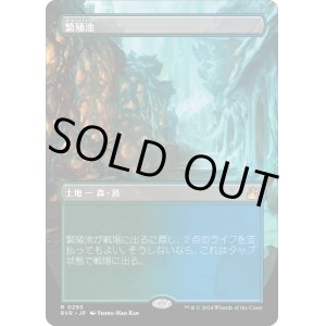 画像: 【ボーダーレス】【日本語版】繁殖池/Breeding Pool