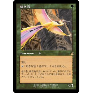 画像: 【Foil】【旧枠】【日本語版】極楽鳥/Birds of Paradise