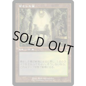 画像: 【旧枠】【日本語版】草むした墓/Overgrown Tomb