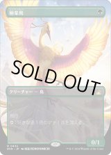 画像: 【アニメ・ボーダーレス】【日本語版】極楽鳥/Birds of Paradise