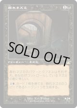 画像: 【Foil】【旧枠】【日本語版】群れネズミ/Pack Rat