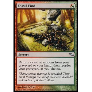 画像: 【日本語版】化石の発見/Fossil Find
