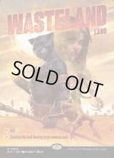 画像: 『英語版』不毛の大地/Wasteland