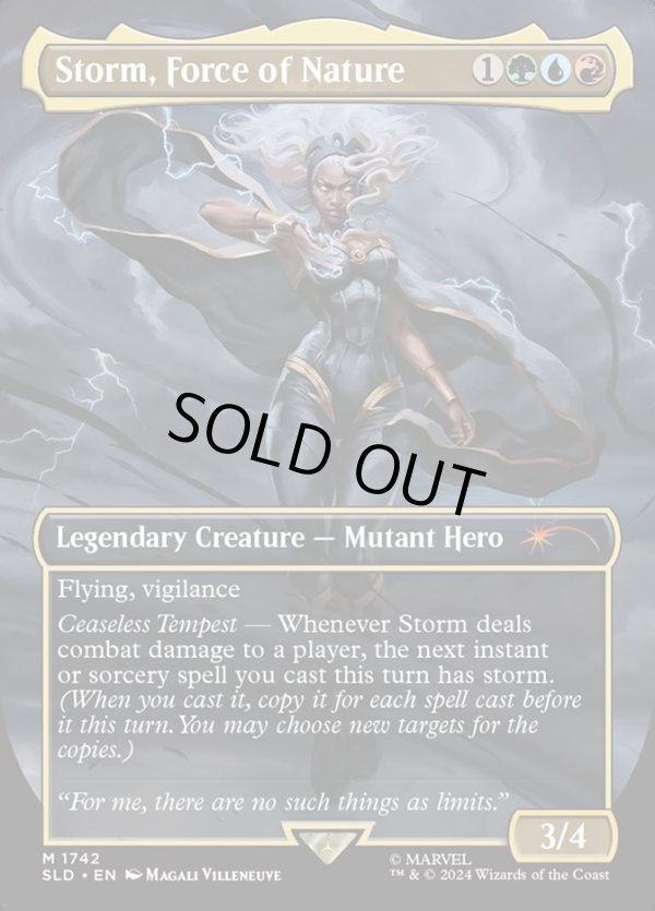 画像1: 『英語版』Storm, Force of Nature (1)