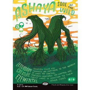 画像: 『英語版』野生の魂、アシャヤ/Ashaya, Soul of the Wild