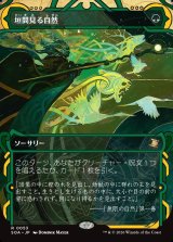 画像: 【日本語版】垣間見る自然/Glimpse of Nature