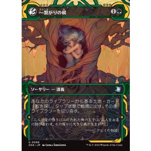 画像: 【日本語版】一繋がりの根/Shared Roots