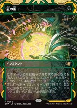 画像: 【日本語版】夏の帳/Veil of Summer