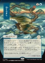 画像: 【日本語版】【日本画】目くらまし/Daze