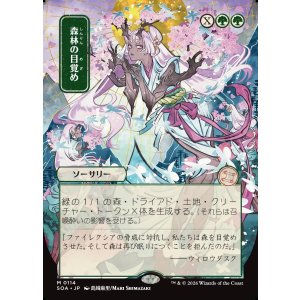 画像: 【日本語版】【日本画】森林の目覚め/Awaken the Woods