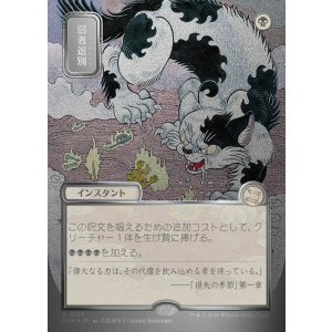 画像: 【日本語版】【シルバースクロールFoil】弱者選別/Culling the Weak