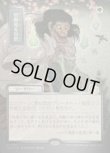 画像: 【日本語版】【シルバースクロールFoil】垣間見る自然/Glimpse of Nature