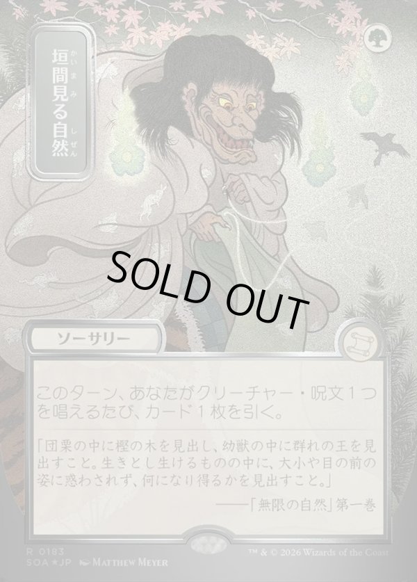 画像1: 【日本語版】【シルバースクロールFoil】垣間見る自然/Glimpse of Nature (1)