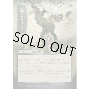 画像: 【日本語版】【シルバースクロールFoil】一繋がりの根/Shared Roots