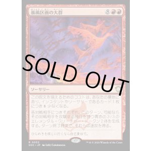 画像: 【日本語版】暴風区画の大群/Furygale Flocking