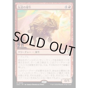 画像: 【日本語版】反逆の雄牛/Renegade Bull