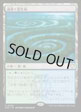 画像: 【日本語版】渦巻く原生林/Turbulent Wilderness