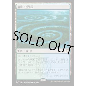 画像: 【日本語版】渦巻く原生林/Turbulent Wilderness