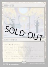 画像: 【日本語版】陰影の広漠/Umbral Expanse