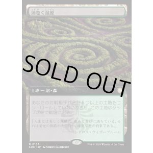 画像: 【日本語版】【拡張枠】渦巻く湿原/Turbulent Fen