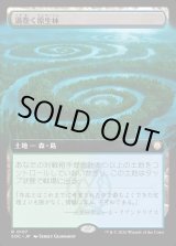 画像: 【日本語版】【拡張枠】渦巻く原生林/Turbulent Wilderness