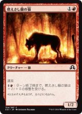 画像: 【日本語版】燃えさし眼の狼/Ember-Eye Wolf