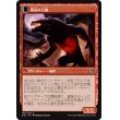 画像2: 【日本語版】ケッシグの鍛冶場主/炎心の人狼/Kessig Forgemaster/Flameheart Werewolf (2)