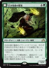 画像: 【日本語版】古き知恵の賢者/古き飢えの人狼/Sage of Ancient Lore/Werewolf of Ancient Hunger