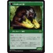 画像2: 【日本語版】古き知恵の賢者/古き飢えの人狼/Sage of Ancient Lore/Werewolf of Ancient Hunger (2)