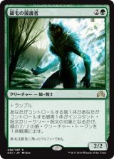 画像: 【日本語版】銀毛の援護者/Silverfur Partisan