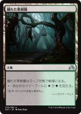 画像: 【日本語版】穢れた果樹園/Foul Orchard