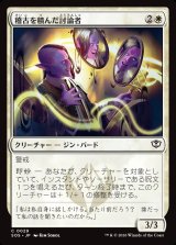 画像: 【日本語版】稽古を積んだ討論者/Rehearsed Debater