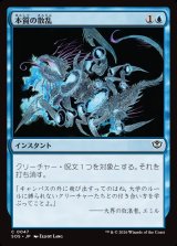 画像: 【日本語版】本質の散乱/Essence Scatter