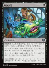 画像: 【日本語版】解剖実習/Dissection Practice