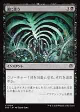 画像: 【日本語版】道に迷う/Wander Off