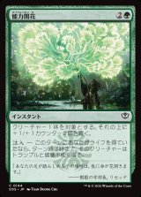 画像: 【日本語版】能力開花/Efflorescence