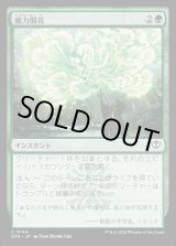 画像: 【日本語版】能力開花/Efflorescence