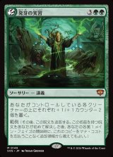 画像: 【日本語版】発芽の実習/Germination Practicum