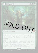 画像: 【日本語版】発芽の実習/Germination Practicum