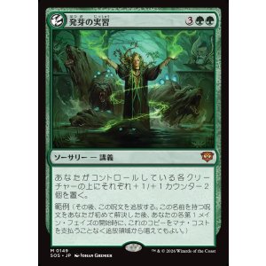 画像: 【日本語版】発芽の実習/Germination Practicum