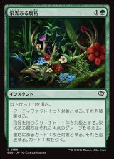 画像: 【日本語版】栄光ある腐朽/Glorious Decay