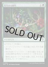 画像: 【日本語版】栄光ある腐朽/Glorious Decay