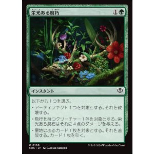 画像: 【日本語版】栄光ある腐朽/Glorious Decay