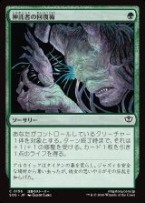 画像: 【日本語版】神託者の回復術/Oracle's Restoration