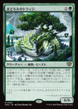 画像: 【日本語版】まどろみのトラッジ/Slumbering Trudge