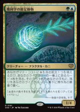 画像: 【日本語版】幾何学の節足動物/Geometer's Arthropod